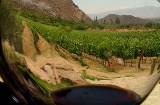 Ruta del Vino de La Garnacha - Campo de Borja