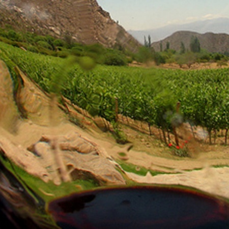 Weinstraße von La Garnacha - Campo de Borja
