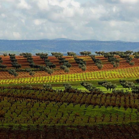 Пейзаж на маршруте виноделия Рибера-дель-Гвадиана