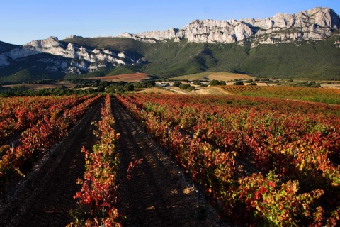 Paisagem do roteiro do vinho de Rioja Alavesa