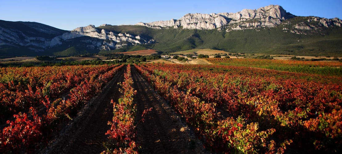 Landschaft entlang der Weinstraße Rioja Alavesa