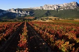 Paisaje de la Ruta del Vino Rioja Alavesa