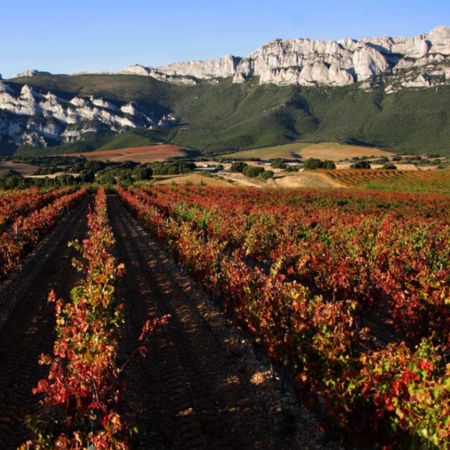 Paisaje de la ruta del vino de Rioja Alavesa