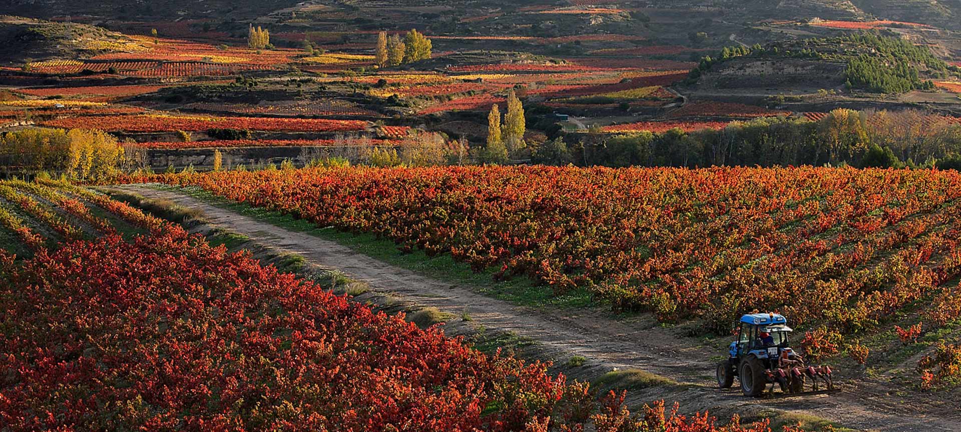 Paisaje de la Ruta del Vino de La Rioja Alavesa