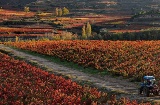 Paysage de la route du vin de la Rioja Alavesa