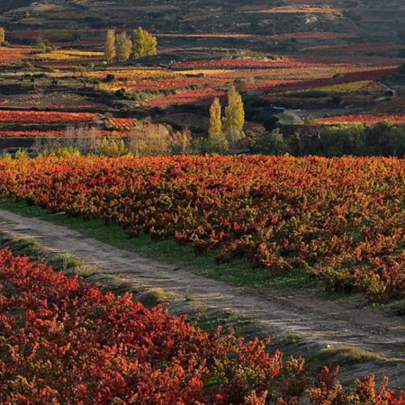 Paisaje de la Ruta del Vino de La Rioja Alavesa