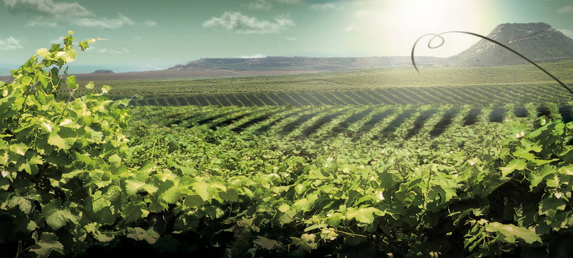 Paisaje de la Ruta del Vino de Lleida - Costa del Segre