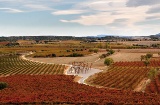 Paysage de la route du vin de Somontano
