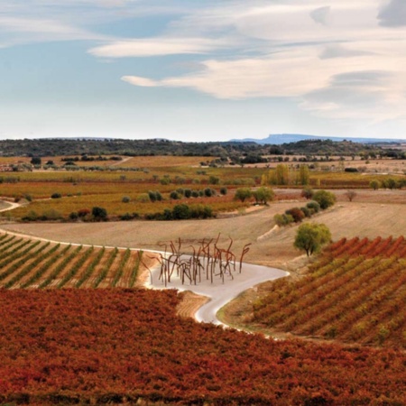 Paisagem do Roteiro do Vinho Somontano