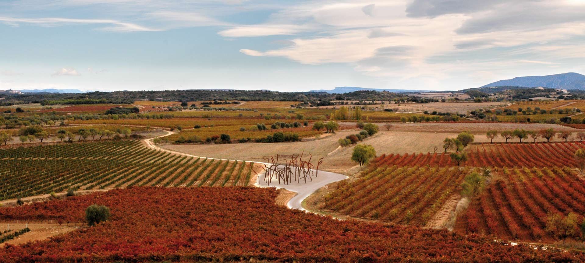 Paisagem do Roteiro do Vinho Somontano