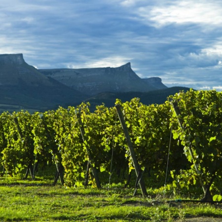 Landscape on the Txakoli Wine Route