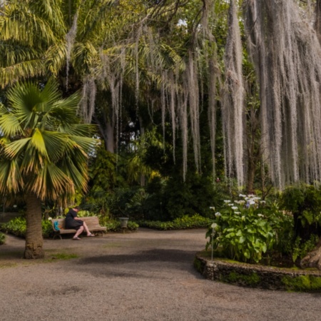 Jardín de Aclimatación de la Orotava en Tenerife, Islas Canarias
