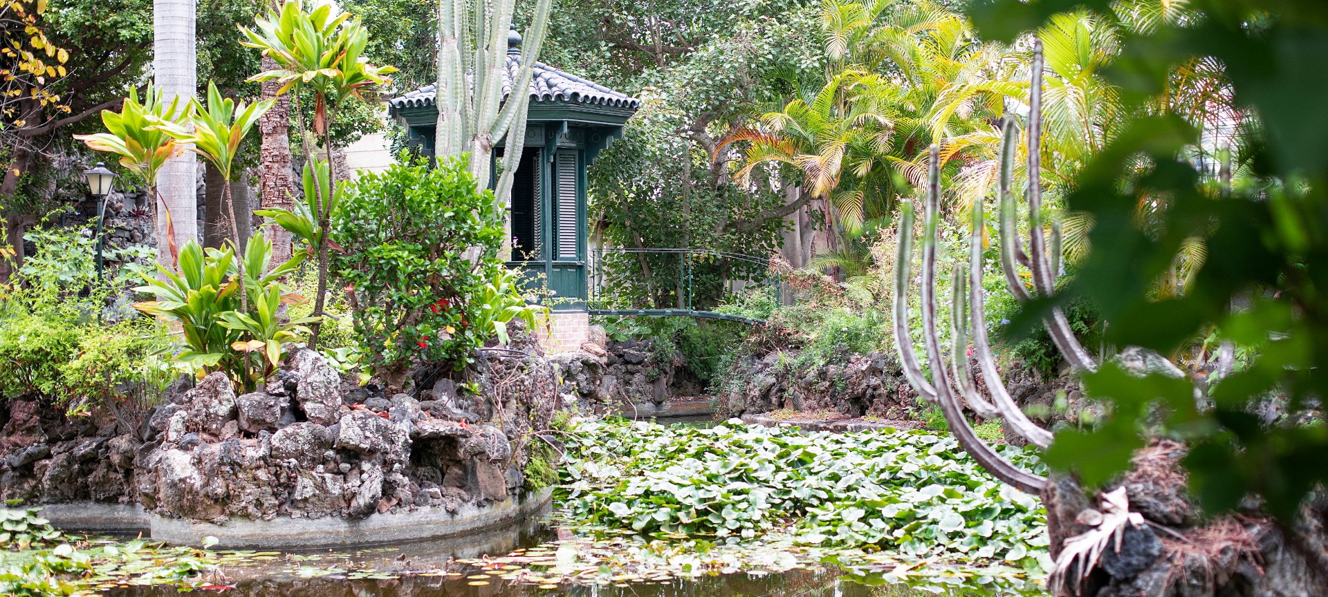 Jardin de la Marquesa de Arucas à Gran Canaria, îles Canaries