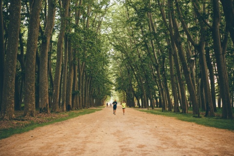 Parque de la Devesa en Girona, Cataluña