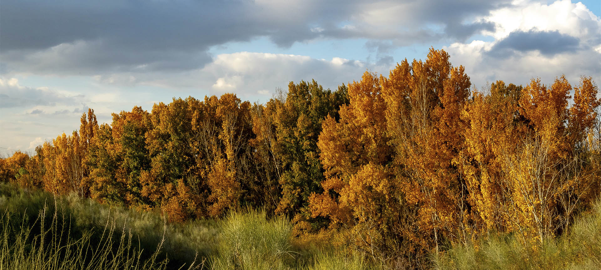 Surroundings of Batres in the Madrid Region