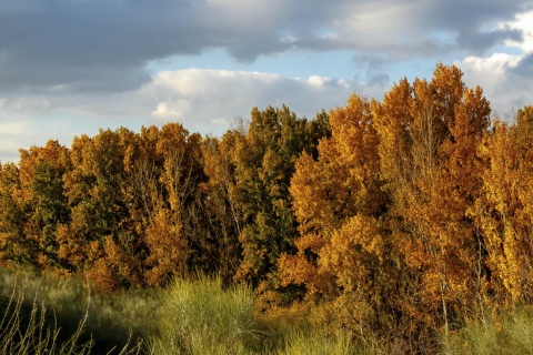 Les alentours de Batres, dans la région de Madrid