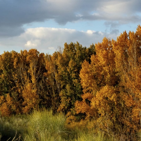 Surroundings of Batres in the Madrid Region