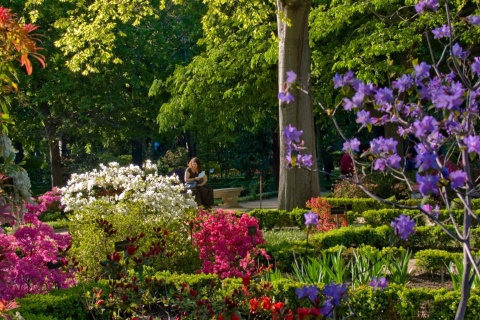 Королевский ботанический сад в Мадриде
