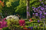 Jardin botanique royal de Madrid