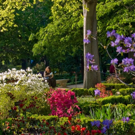 Royal Botanical Garden in Madrid