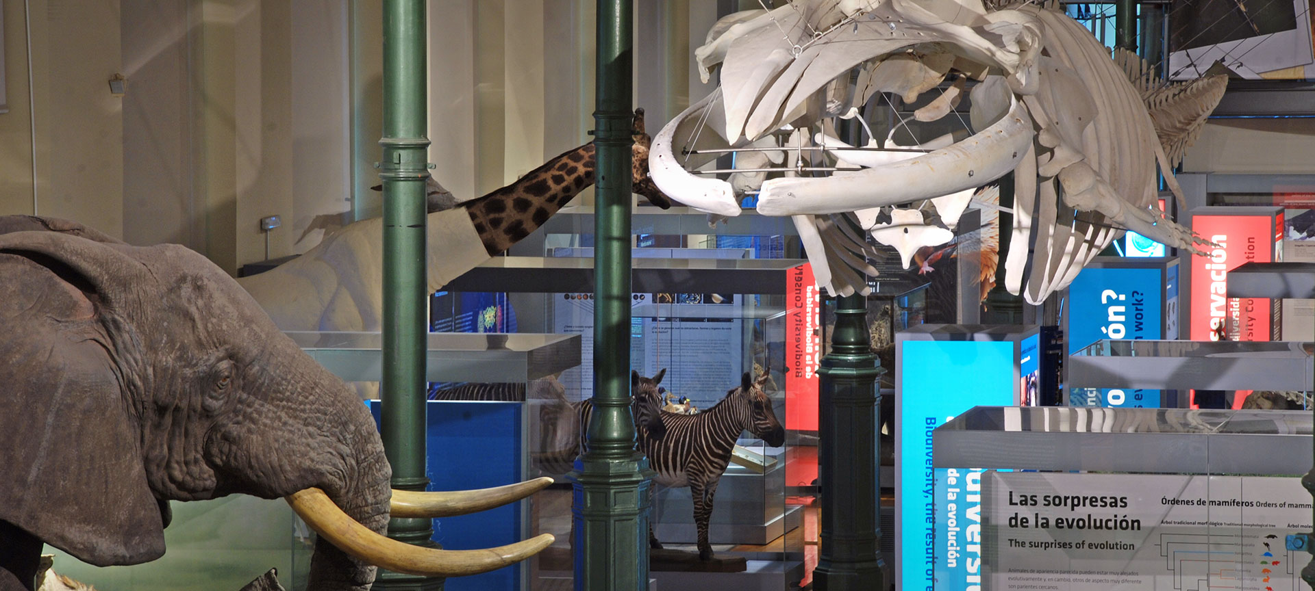 Museo Nacional de Ciencias Naturales Museo Nacional de Ciencias Naturales