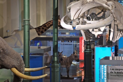 Musée national des sciences naturelles