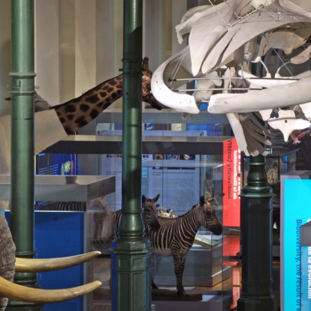 Musée national des sciences naturelles