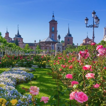 Alcalá de Henares (Region of Madrid)