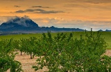 Blick auf El Almorchón. Cieza. Murcia.