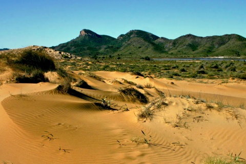 カボ・デ・パロスの砂丘