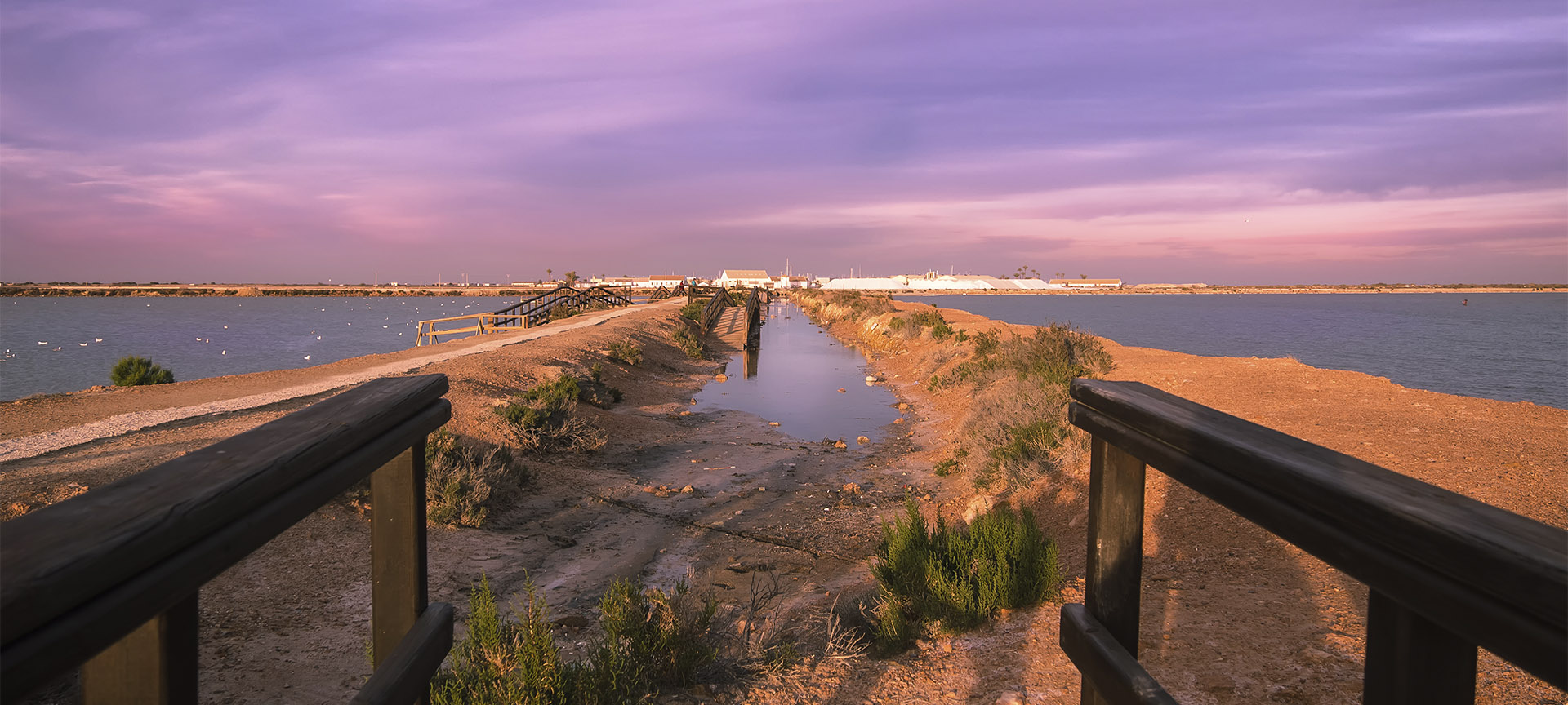 Salt flats in San Pedro de Pinatar in Murcia