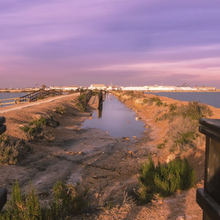 Salinas de San Pedro del Pinatar, em Múrcia