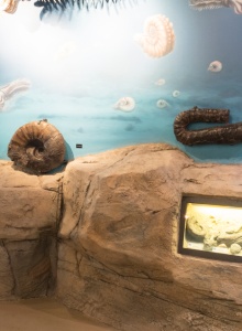 Museo Bentalekua