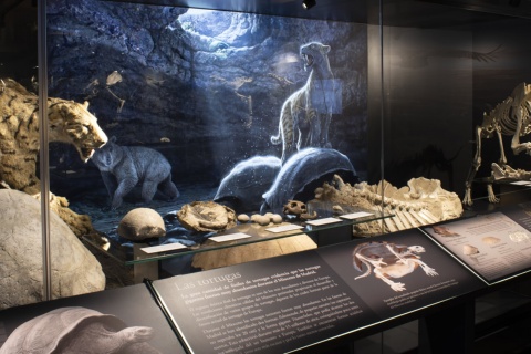 Экспозиция Регионального археологического музея в Алькала-де-Энарес