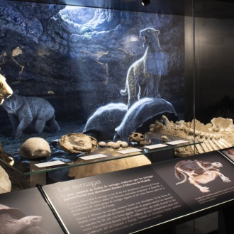 アルカラ・デ・エナーレスにある地域考古学博物館の展示
