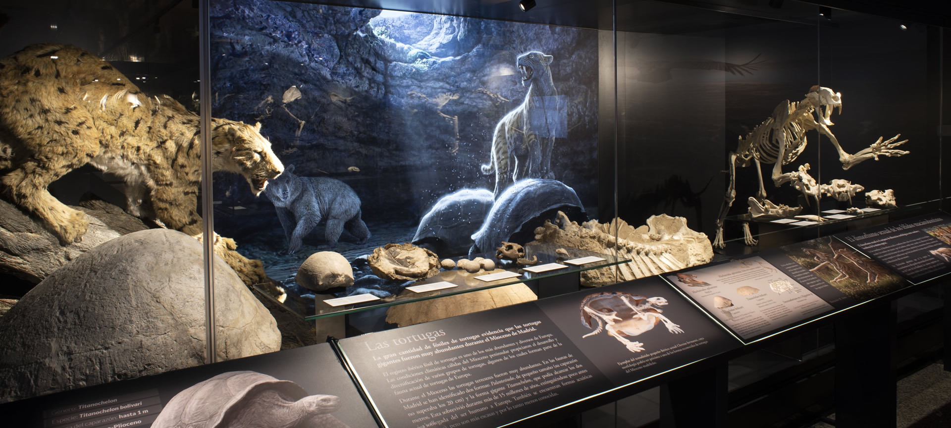 Wystawa Regionalnego Muzeum Archeologicznego w Alcalá de Henares Wystawa Regionalnego Muzeum Archeologicznego w Alcalá de Henares