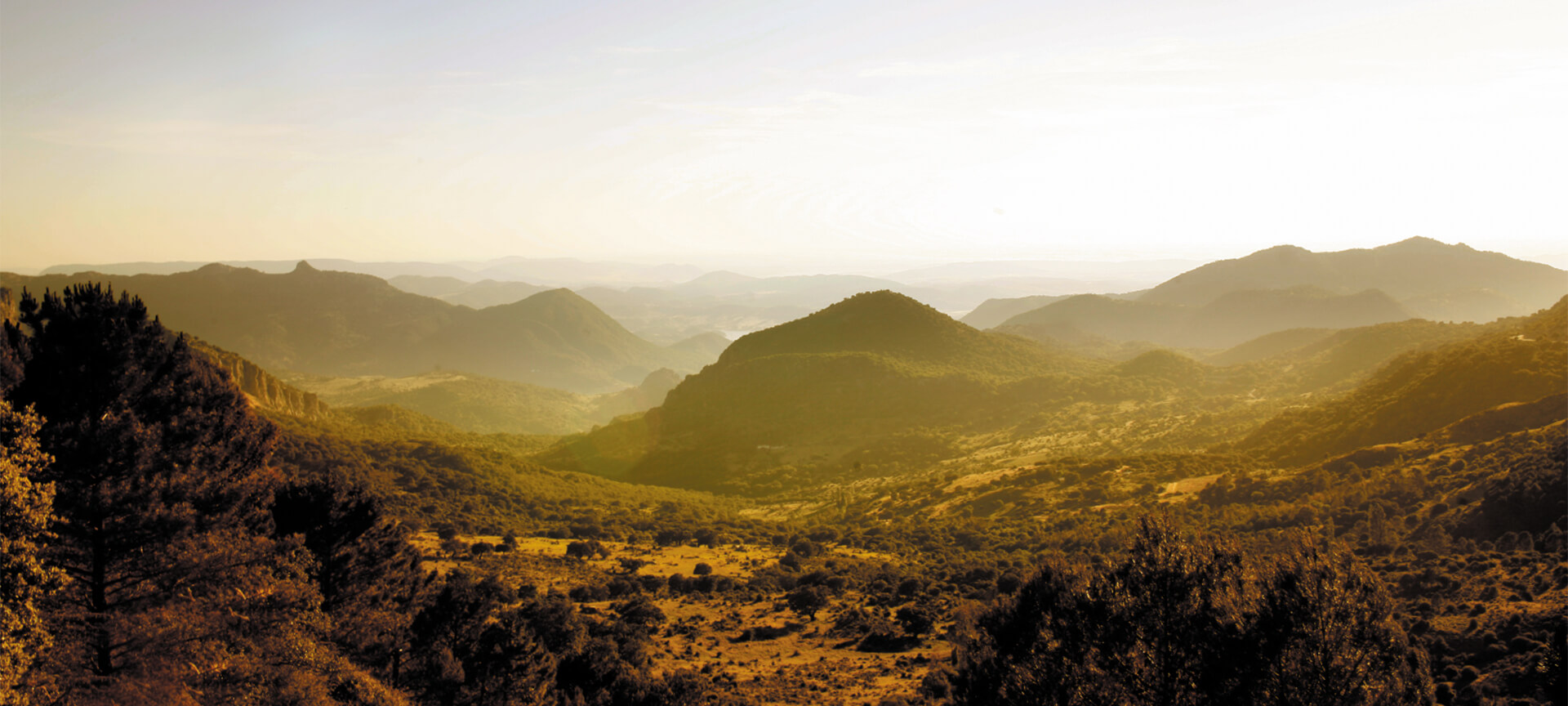 Carlos de la Calle Carlos de la Calle