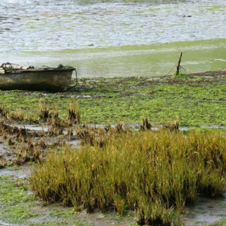 Maremme di Santoña