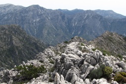 Obszar chronionego krajobrazu Sierras de Tejeda, Almijara y Alhama