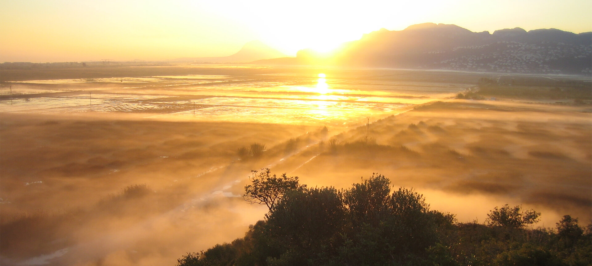 Parque Natural Marjar Pego-Oliva
