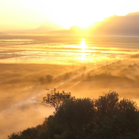 Marjal Pego-Oliva Natural Park