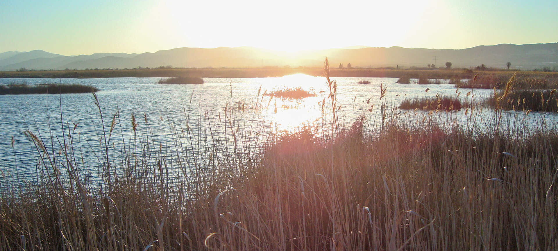 Parc Natural del Prat de Cabanes Torreblanca