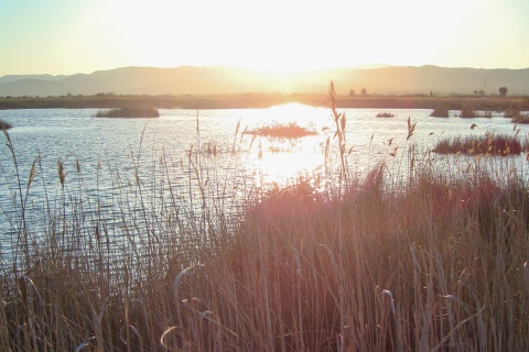 Parc naturel du Prat de Cabanes-Torreblanca