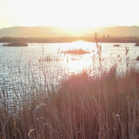 Parc Natural del Prat de Cabanes Torreblanca