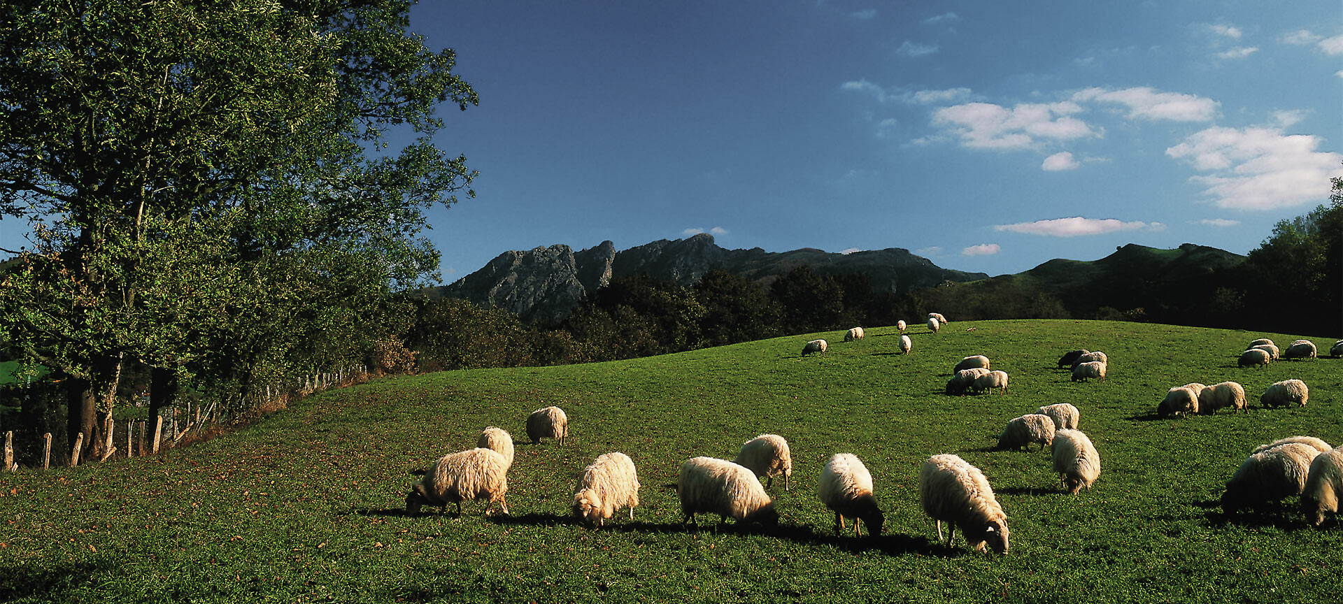 Parque Natural Aiako Harria