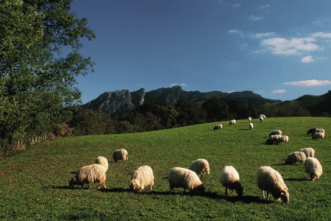 Parco Naturale Aiako Harria