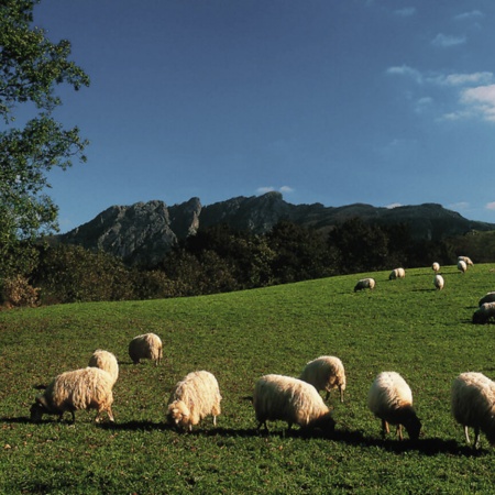 Parco Naturale Aiako Harria