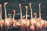 Parc naturel Lagunas de la Mata-Torrevieja