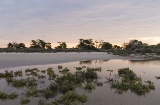 Parque Regional Salinas de San Pedro