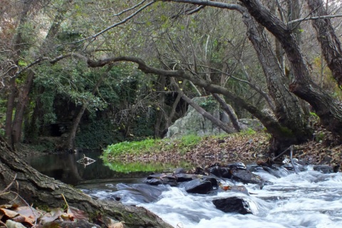 The Tejo/Tajo International Transboundary Biosphere Reserve. River Sever